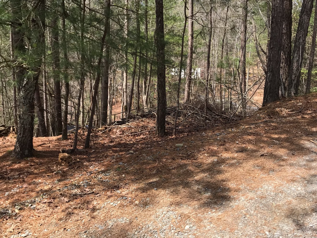 Great RV Lot in Coosawattee River Resort With Road Frontage Power Water