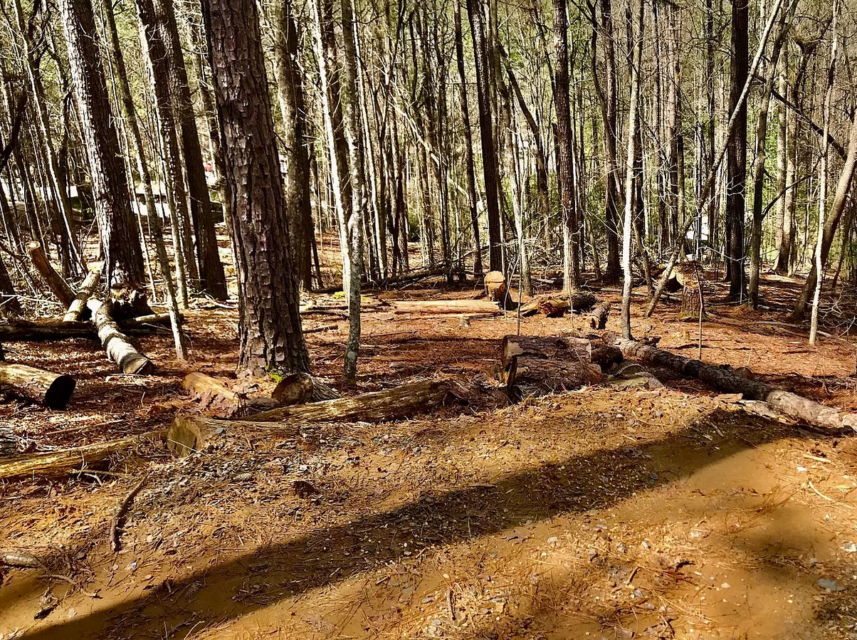 Beautiful RV Lot in Coosawattee River Resort With Road Frontage Power